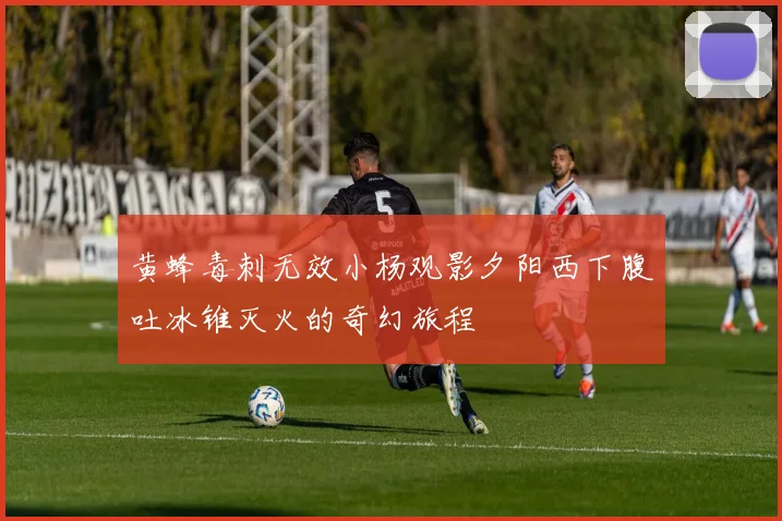 黄蜂毒刺无效小杨观影夕阳西下腹吐冰锥灭火的奇幻旅程